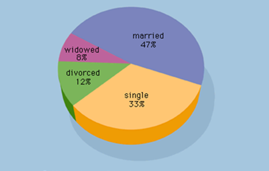 PTE Pie Chart 7: Distribution of Marital Status